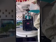 เครื่องสลัชไฟฟ้า 3L ถังสองขนาดเล็กบ้านและการใช้พาณิชย์